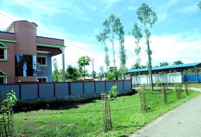 Tamim resort