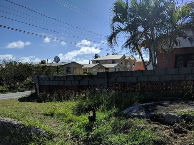 Peach And Quiet Hotel Image