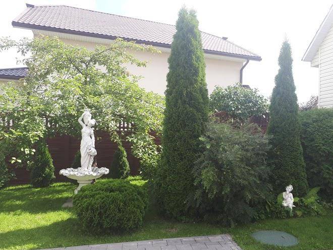 Agrousadba tsnianskaya