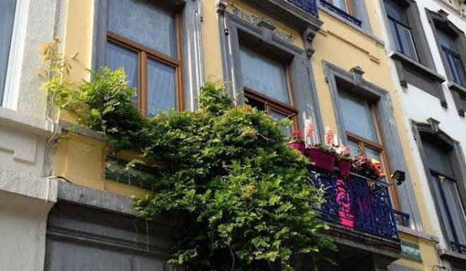 Hotel les bluets