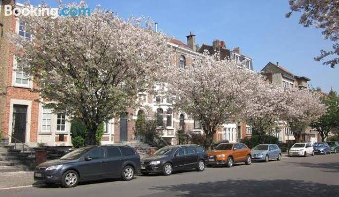 La maison des chouettes