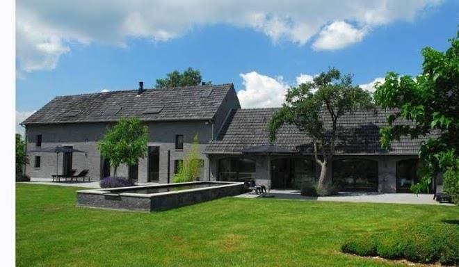 De grote kievit
