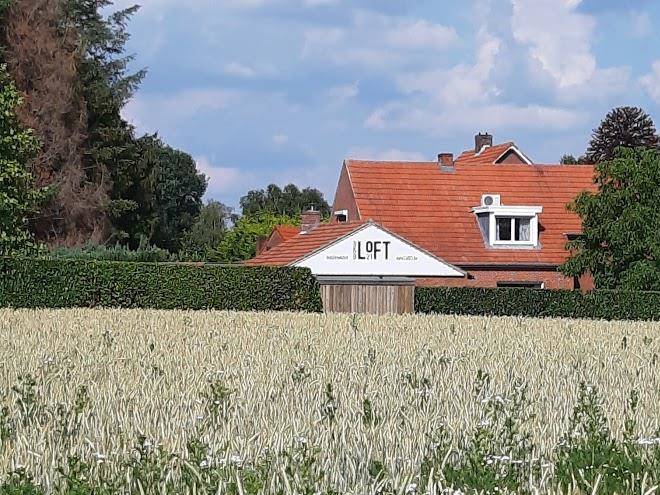 B&b Loft21 Weelde Image