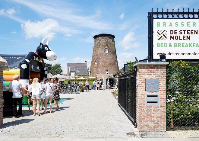 De steenen molen