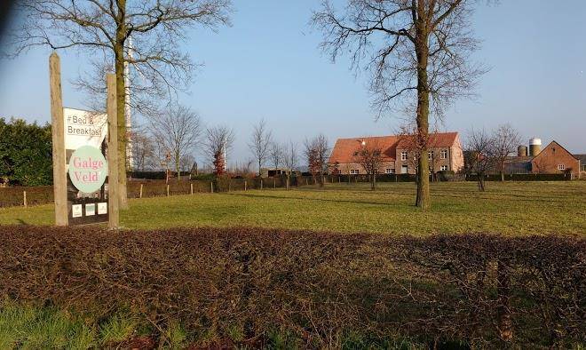 Galgeveld