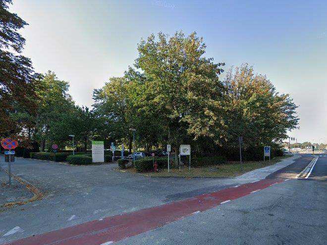 Parkland management