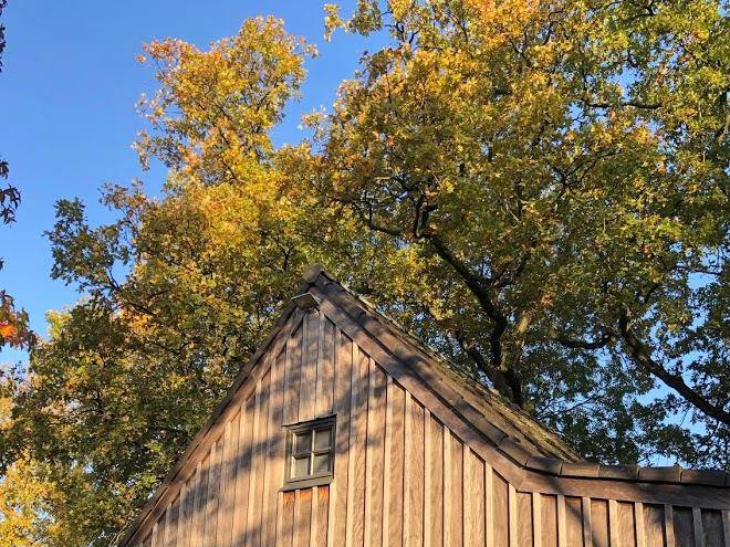 Under oaks b&b