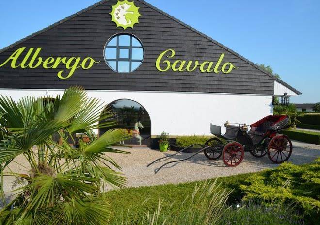 Albergo cavalo