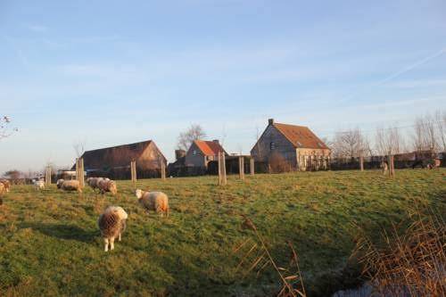 B&b de molenkreek