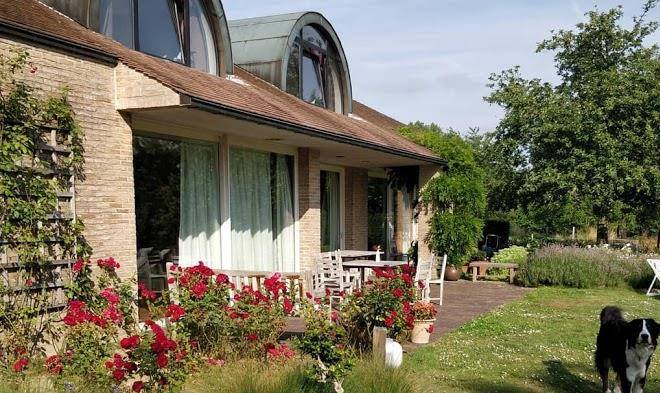 La Petite Bruyere De Renaix Image