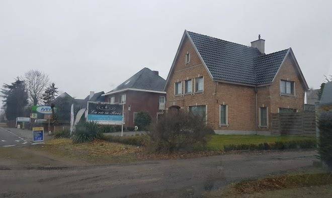 La vie en roos