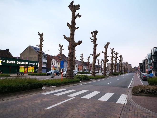 Shangrilaherzele
