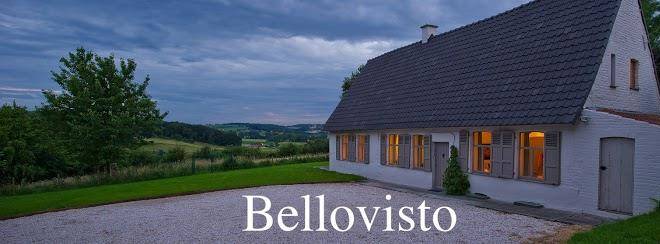 Vakantiewoning Bellovisto Image