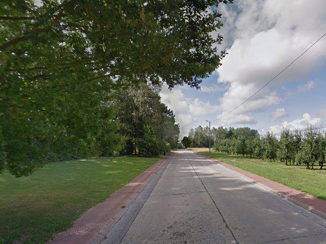 Het leeuwerveld
