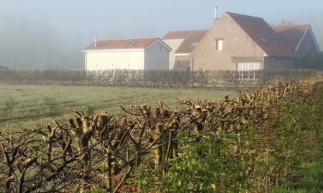 Leybeeckhof