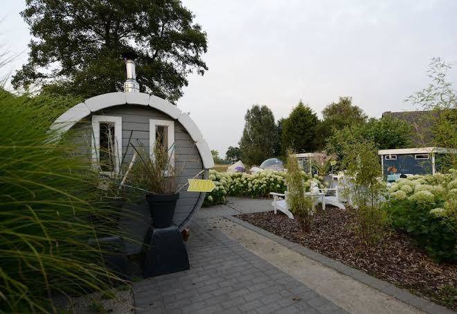 De witte merel deluxe