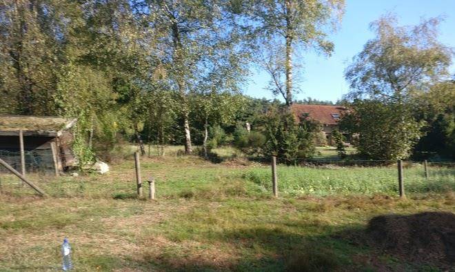 Ecoglamping de krekelwei