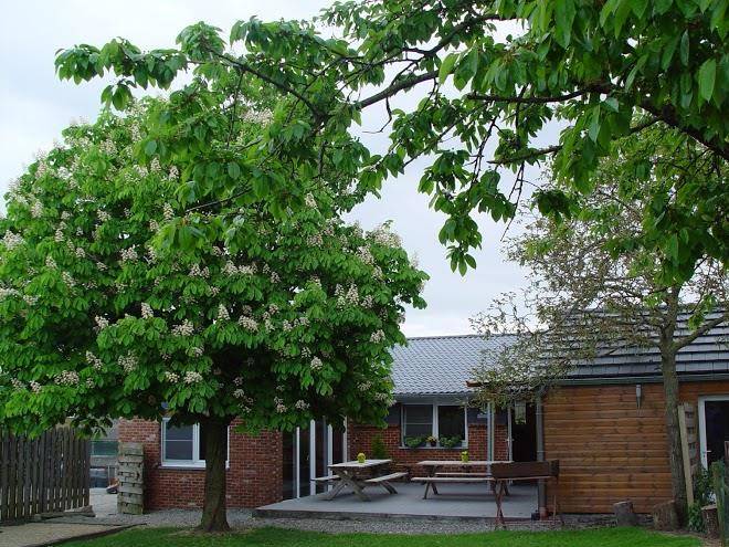 Green Valley Boerengolf Image