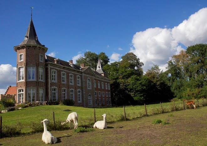Kasteel nieuwenhoven bvba