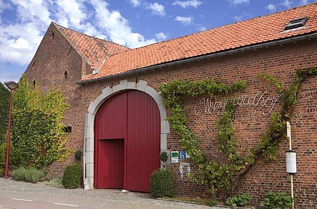 T wijngaardhof