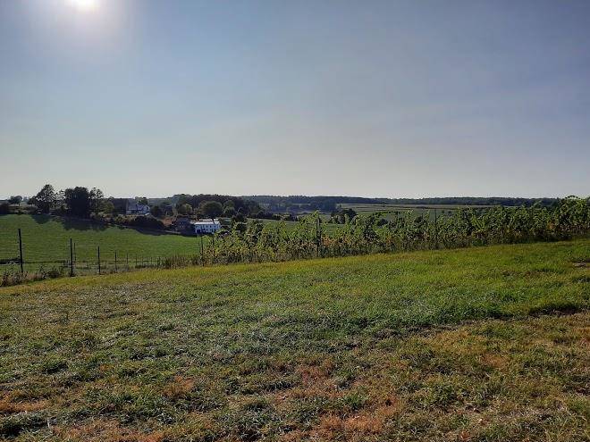 Wijndomein Zwaeneberg Image