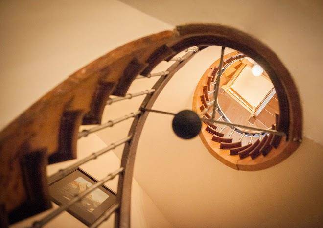 Amaryllis Dieltiens Image