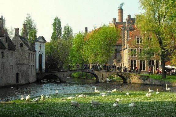 B&b bru beauline