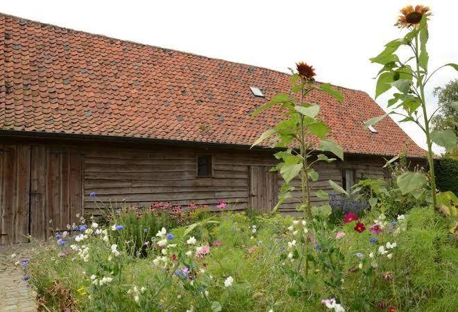 B&b de hulst