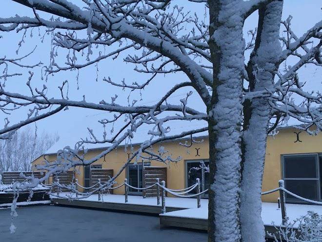 B&b 't koolhof & veulenopfok