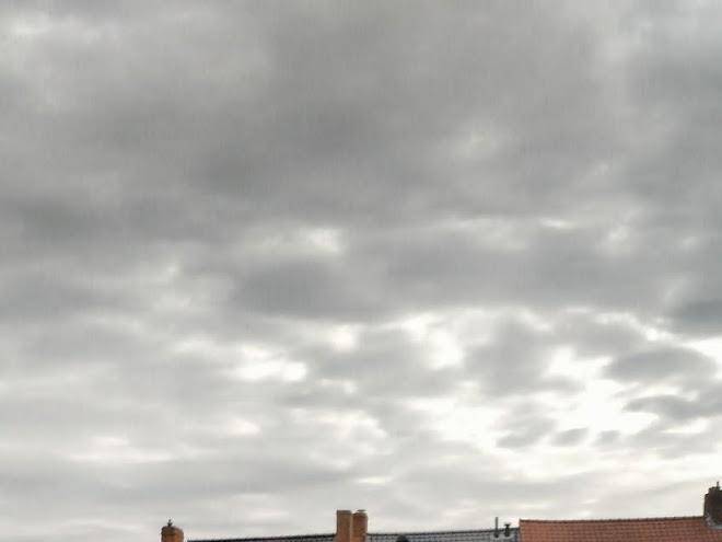 Bella Noche Brugge Image