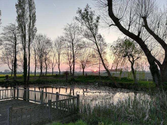 Briesland