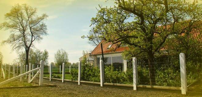 Hof ter langeleye planke