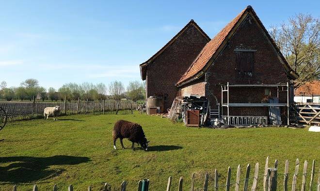 Kampveld