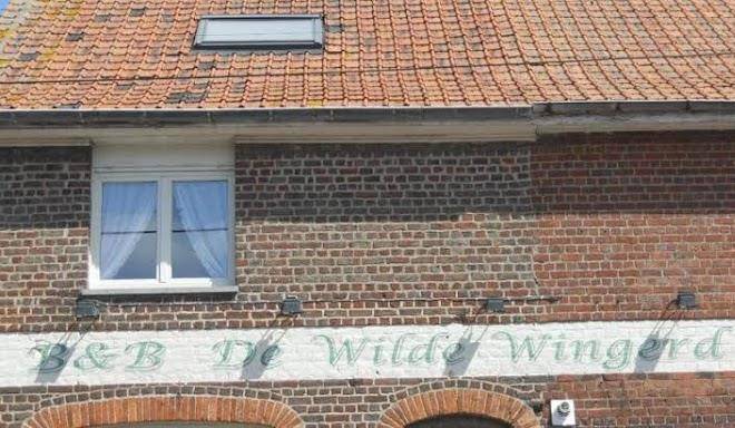 Logies de wilde wingerd