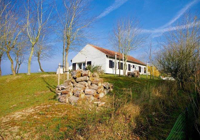 Vakantiehuis Zandhof Image