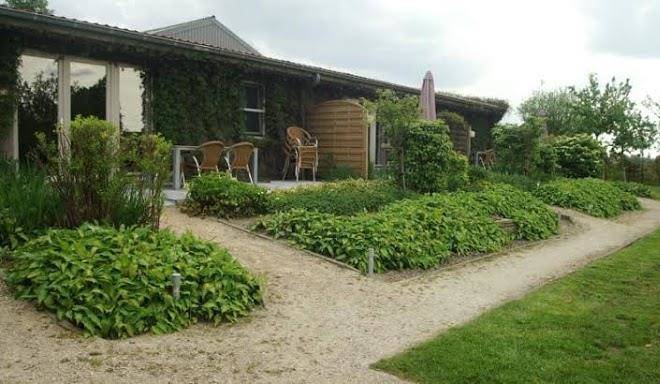 Vakantiehuizen domein rietvelde