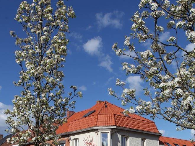 Vakantiewoningen oyenkerke