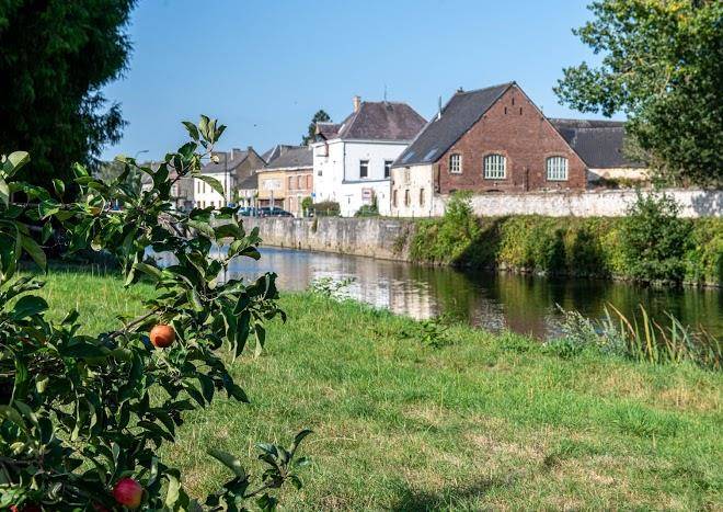 Au crapaud charmant