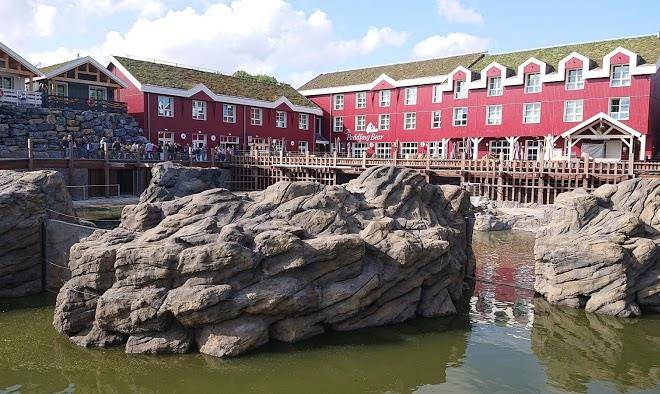 The paddling bear hotel