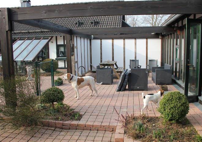 Eifel Vakantie Image