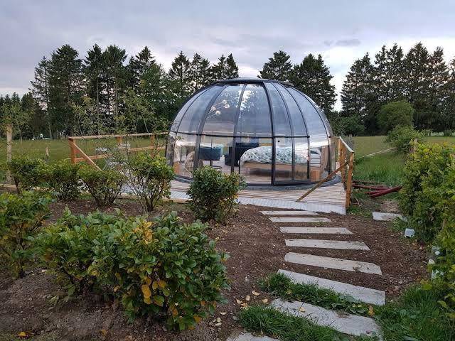 La bulle au bois dormant