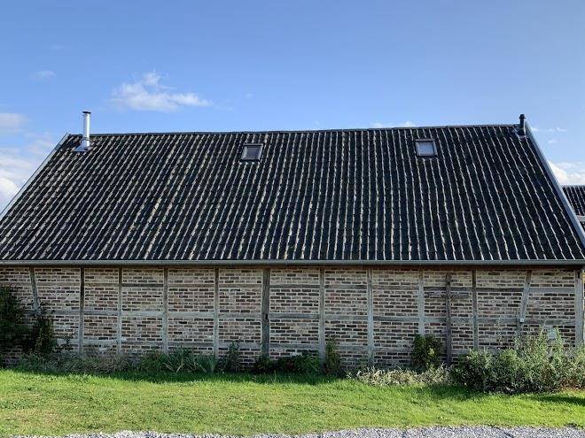 Le petit cheval blanc