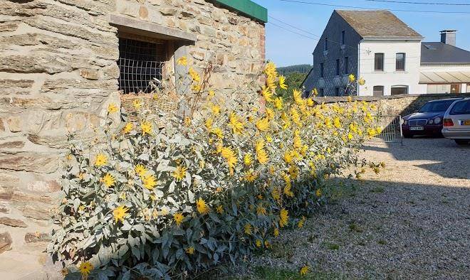 Vakantiewoning ferme au coin odrimont