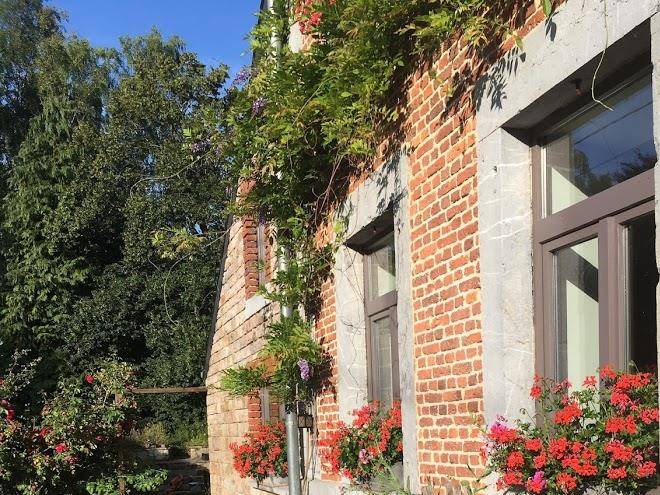 B&b les oiseaux de passage