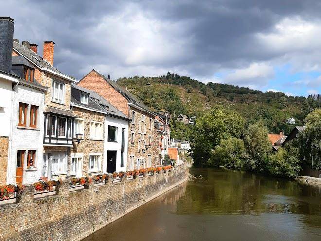 Domaine du chien