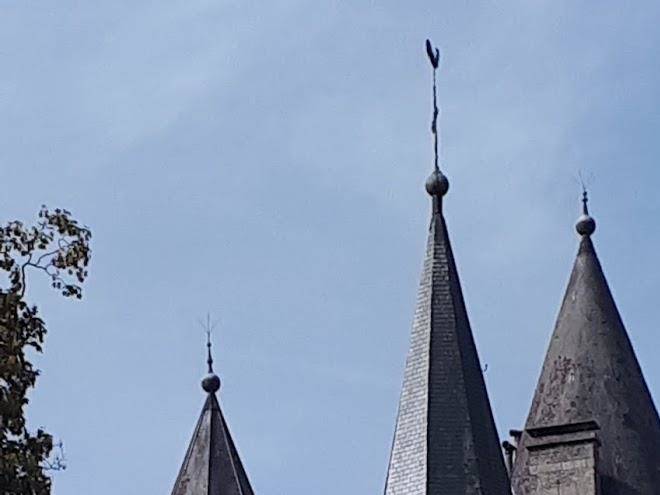 La tete en l'air