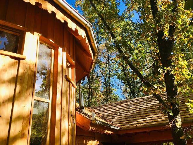 Mon lit dans l'arbre