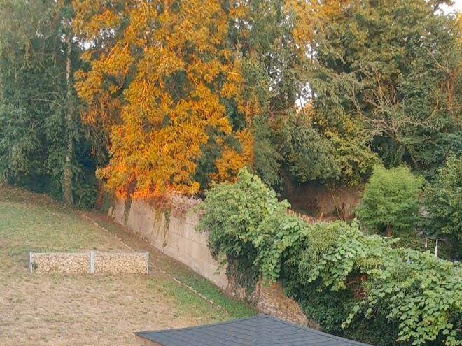 Gite o 29