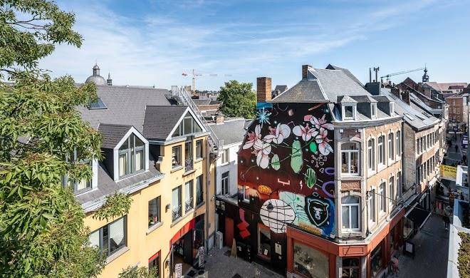 Les cerisiers bnb au centre de namur