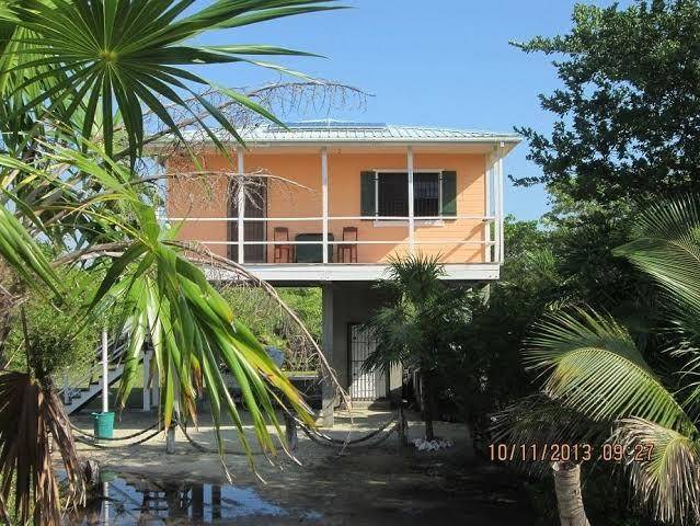 Axios Of The Sun Image